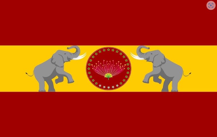 TVK Flag